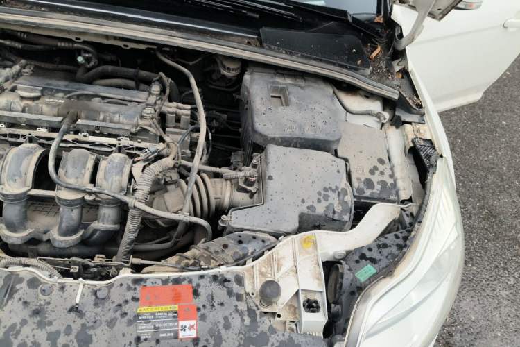 Used Ford Focus 2012 Hatchback 1.6L Manual Fashion Edition Engine Bay Left