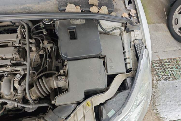 Used Ford Focus 2012 Hatchback 1.6L Automatic Comfort Model Engine Bay Left