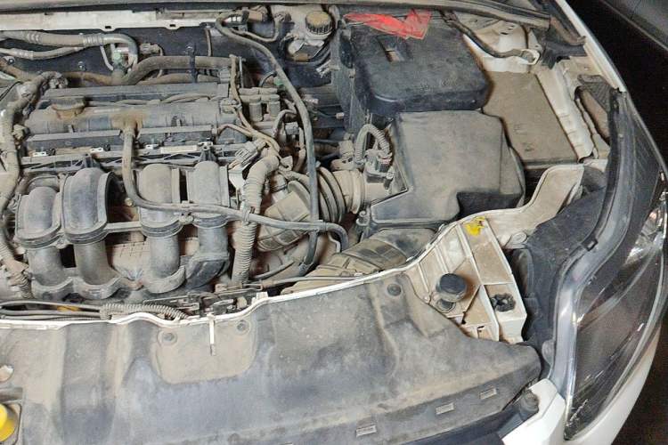Used Ford Focus 2012 Sedan 1.6L Manual Fashion Edition Engine Bay Left