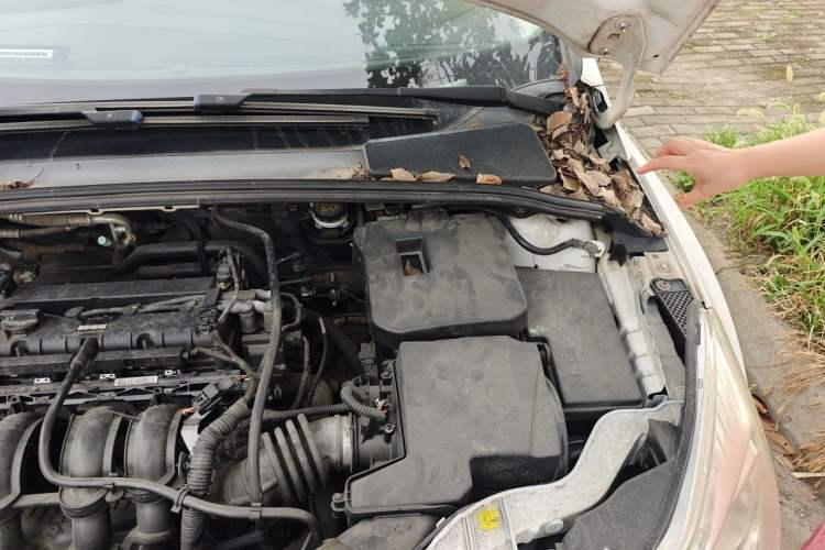 Used Ford Focus 2012 Hatchback 1.6L Manual Fashion Edition Engine Bay Left