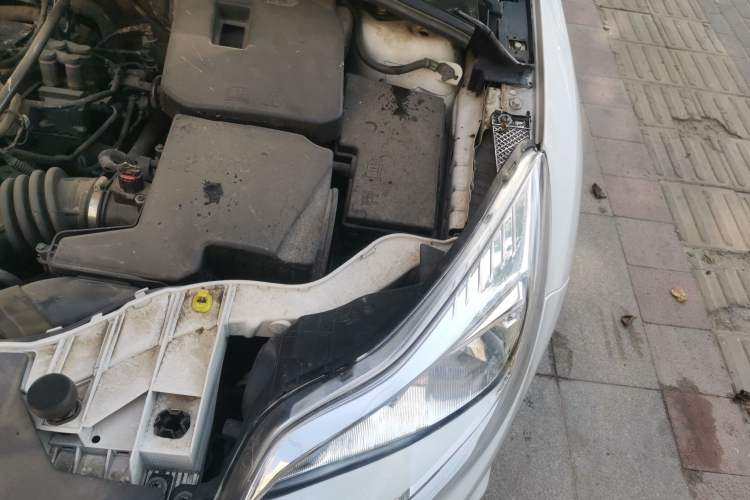 Used Ford Focus 2012 Hatchback 1.6L Automatic Fashion Edition Engine Bay Left