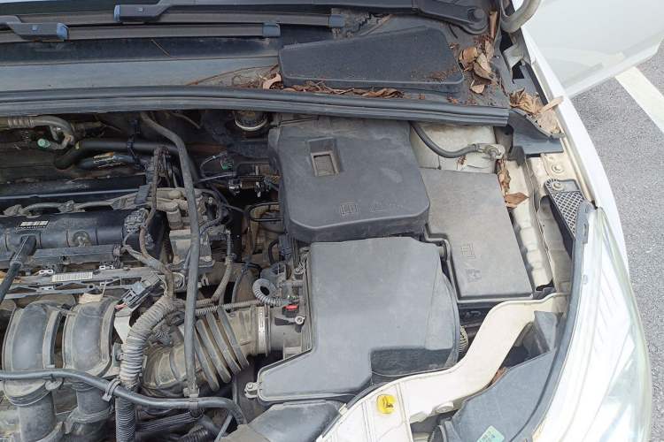 Used Ford Focus 2012 Sedan 1.6L Manual Fashion Edition Engine Bay Left