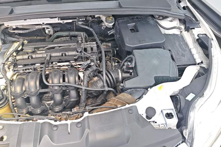 Used Ford Focus 2012 Hatchback 1.6L Automatic Comfort Model Engine Bay Left