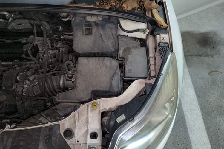 Used Ford Focus 2012 Hatchback 1.6L Automatic Comfort Model Engine Bay Left