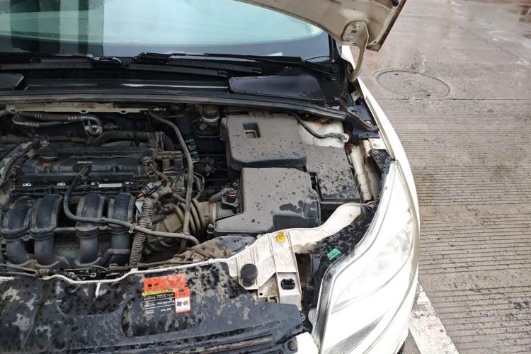 Used Ford Focus 2012 Sedan 1.6L Manual Comfort Model Engine Bay Left