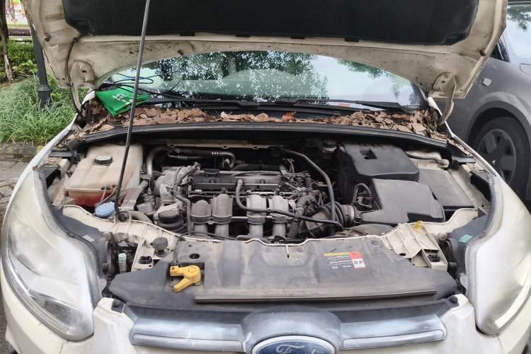 Used Ford Focus 2012 Sedan 1.6L Automatic Comfort Model Engine Bay