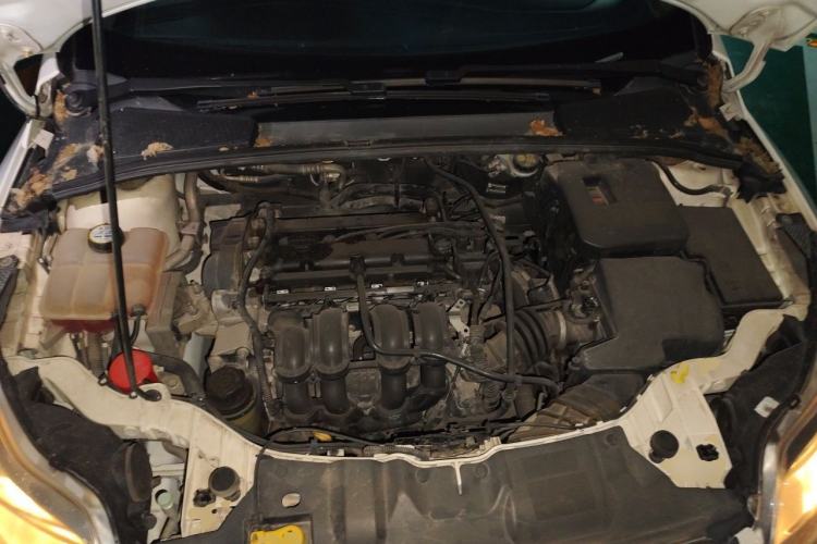 Used Ford Focus 2012 Hatchback 1.6L Automatic Fashion Edition Engine Bay