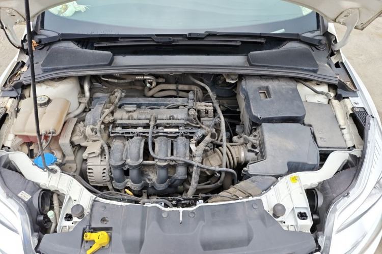 Used Ford Focus 2012 Sedan 1.6L Manual Fashion Edition Engine Bay