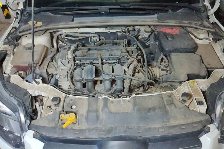 Used Ford Focus 2012 Sedan 1.6L Manual Fashion Edition Engine Bay