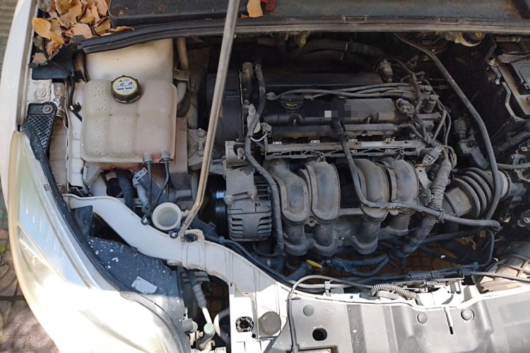 Used Ford Focus 2012 Sedan 1.6L Manual Fashion Edition Engine Bay Right
