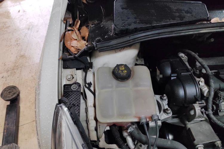 Used Ford Focus 2012 Sedan 1.6L Automatic Fashion Edition Engine Bay Right