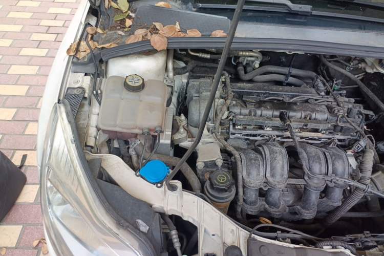 Used Ford Focus 2012 Hatchback 1.6L Automatic Comfort Model Engine Bay Right