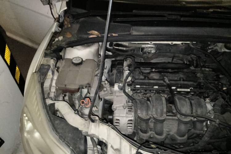 Used Ford Focus 2012 Sedan 1.6L Manual Fashion Edition Engine Bay Right