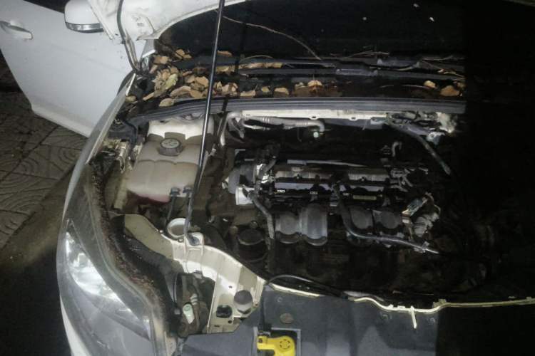 Used Ford Focus 2012 Hatchback 1.6L Automatic Fashion Edition Engine Bay Right