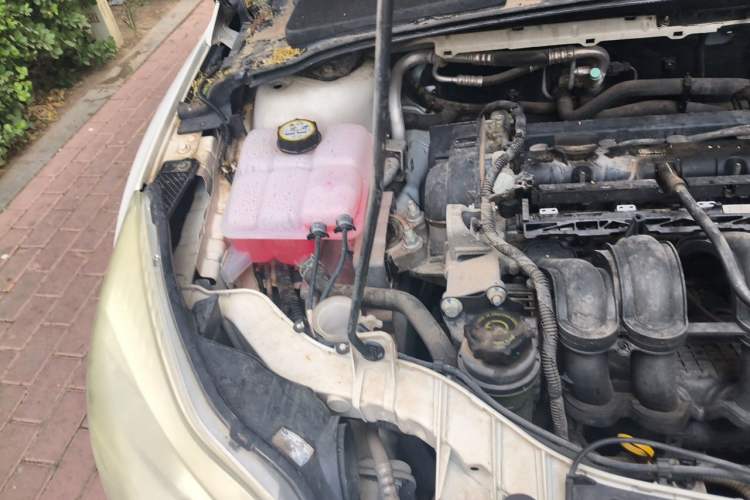 Used Ford Focus 2012 Hatchback 1.6L Automatic Fashion Edition Engine Bay Right