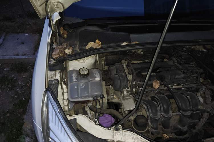Used Ford Focus 2012 Hatchback 1.6L Automatic Comfort Model Engine Bay Right