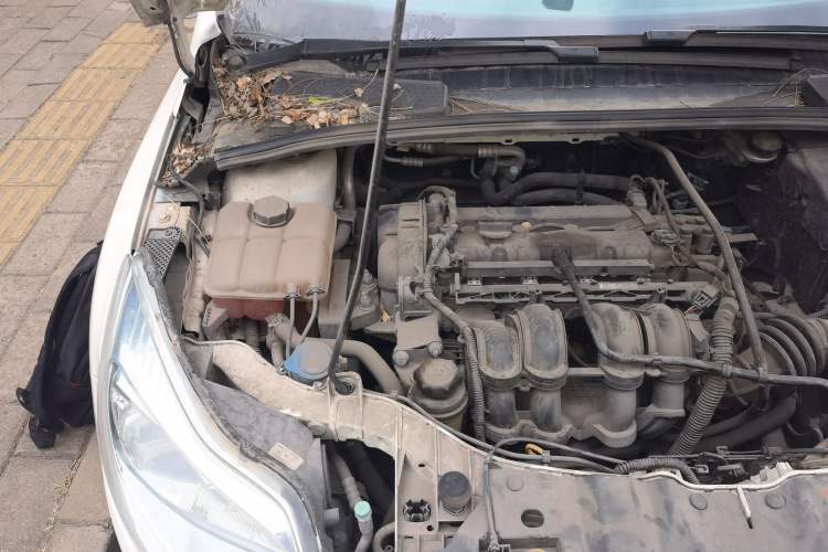 Used Ford Focus 2012 Sedan 1.6L Automatic Fashion Edition Engine Bay Right