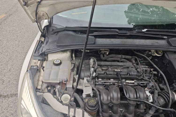 Used Ford Focus 2012 Sedan 1.6L Automatic Fashion Edition Engine Bay Right