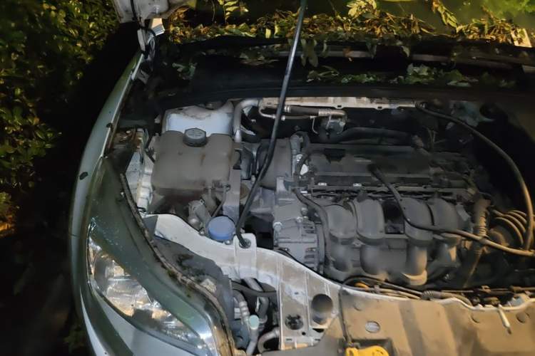 Used Ford Focus 2012 Sedan 1.6L Manual Fashion Edition Engine Bay Right