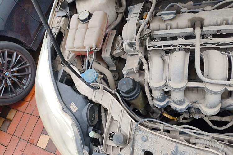 Used Ford Focus 2012 Sedan 1.6L Automatic Fashion Edition Engine Bay Right