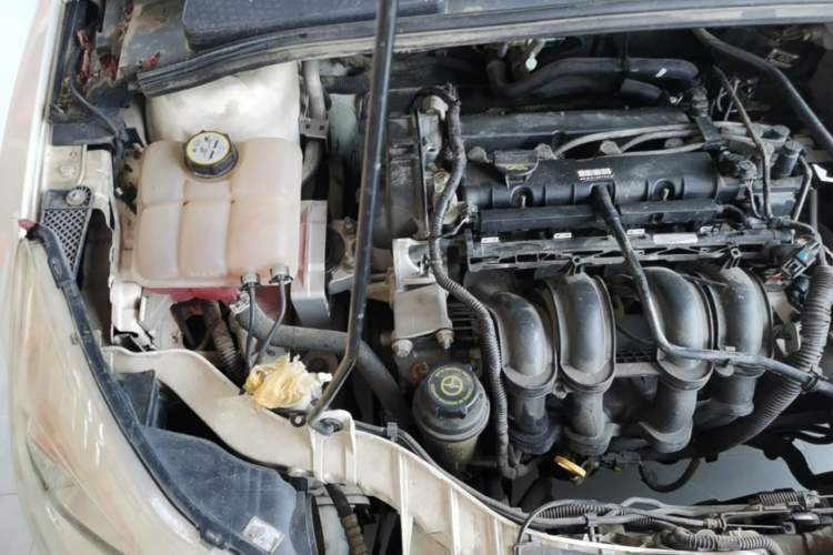 Used Ford Focus 2012 Sedan 1.6L Automatic Fashion Edition Engine Bay Right