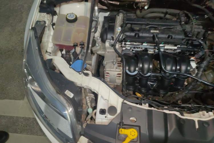 Used Ford Focus 2012 Sedan 1.6L Manual Fashion Edition Engine Bay Right