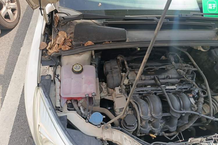 Used Ford Focus 2012 Sedan 1.6L Automatic Fashion Edition Engine Bay Right