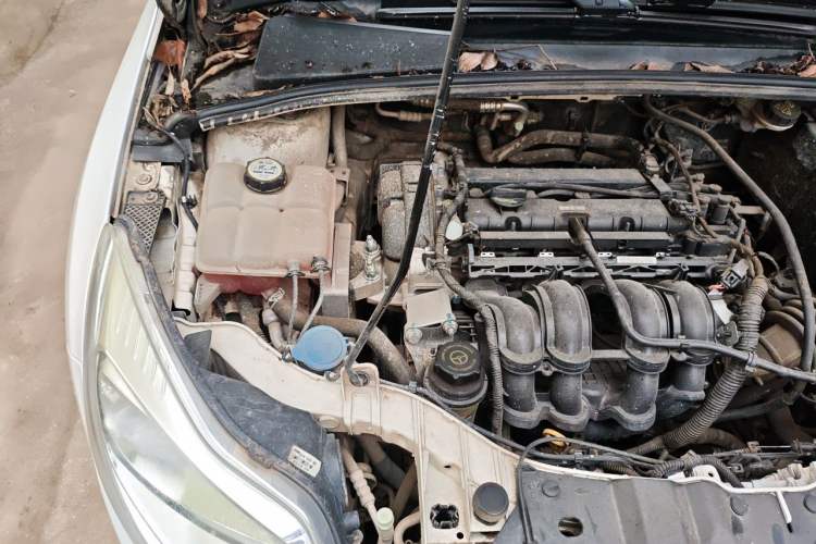 Used Ford Focus 2012 Sedan 1.6L Automatic Comfort Model Engine Bay Right