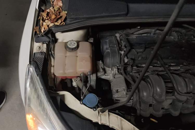 Used Ford Focus 2012 Hatchback 1.6L Manual Comfort Model Engine Bay Right