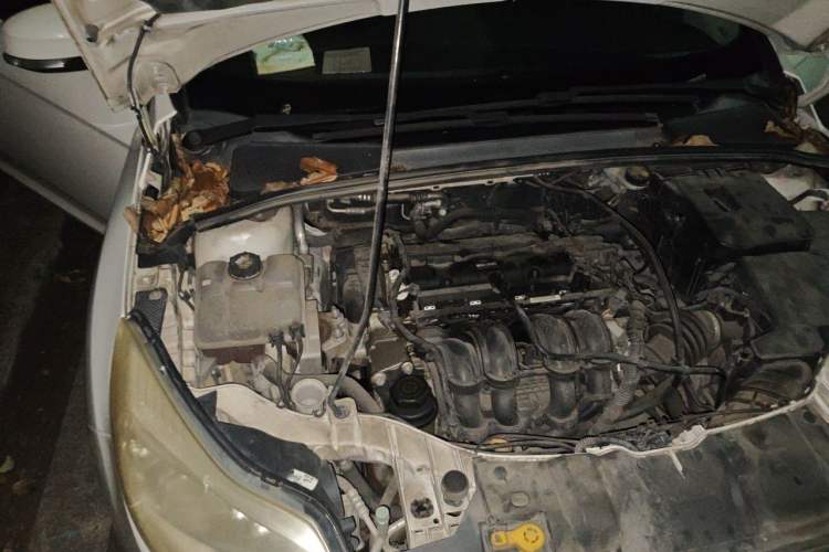 Used Ford Focus 2012 Hatchback 1.6L Automatic Fashion Edition Engine Bay Right
