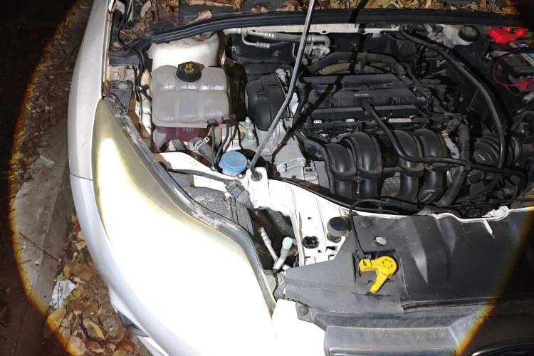 Used Ford Focus 2012 Sedan 1.6L Manual Comfort Model Engine Bay Right