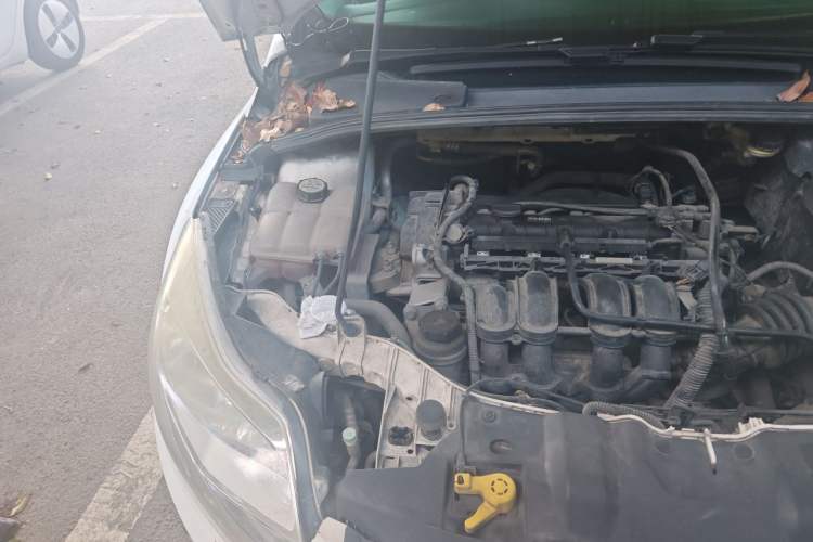 Used Ford Focus 2012 Sedan 1.6L Automatic Fashion Edition Engine Bay Right