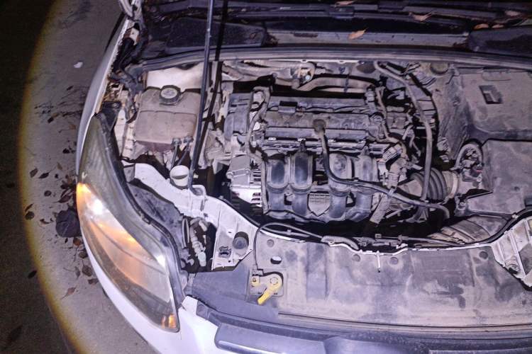 Used Ford Focus 2012 Hatchback 1.6L Manual Comfort Model Engine Bay Right