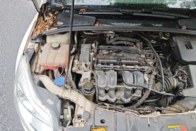 Used Ford Focus 2012 Sedan 1.6L Automatic Comfort Model Engine Bay Right