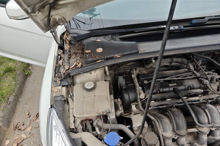 Used Ford Focus 2012 Hatchback 1.6L Automatic Fashion Edition Engine Bay Right