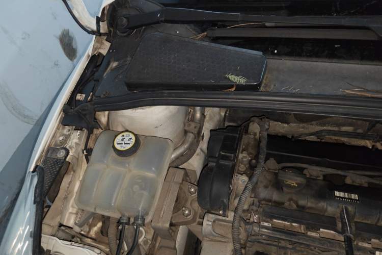 Used Ford Focus 2012 Sedan 1.6L Manual Fashion Edition Engine Bay Right