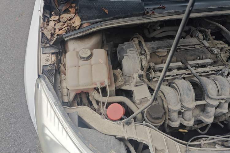 Used Ford Focus 2012 Hatchback 1.6L Automatic Comfort Model Engine Bay Right