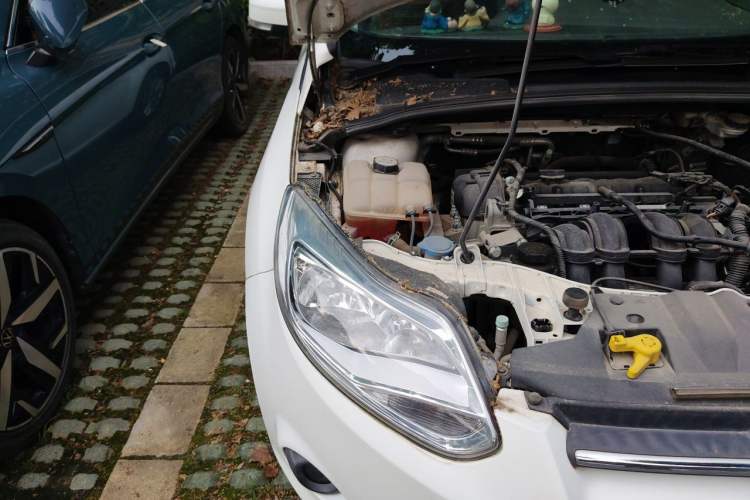Used Ford Focus 2012 Sedan 1.6L Automatic Comfort Model Engine Bay Right