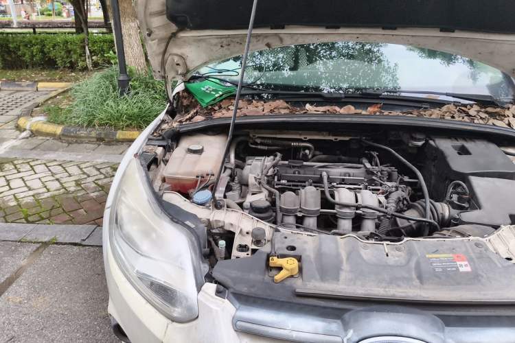 Used Ford Focus 2012 Sedan 1.6L Automatic Comfort Model Engine Bay Right