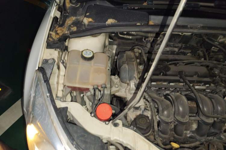 Used Ford Focus 2012 Hatchback 1.6L Automatic Fashion Edition Engine Bay Right