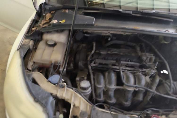 Used Ford Focus 2012 Sedan 1.6L Automatic Fashion Edition Engine Bay Right