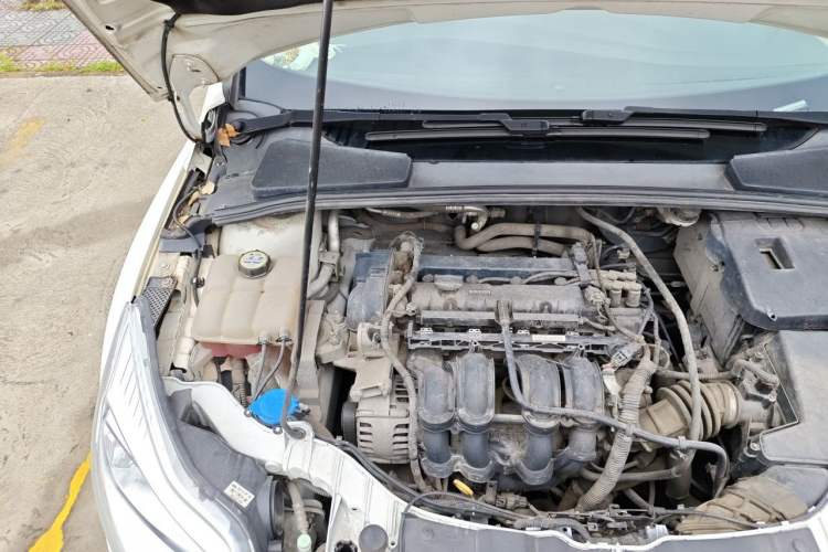 Used Ford Focus 2012 Sedan 1.6L Manual Fashion Edition Engine Bay Right