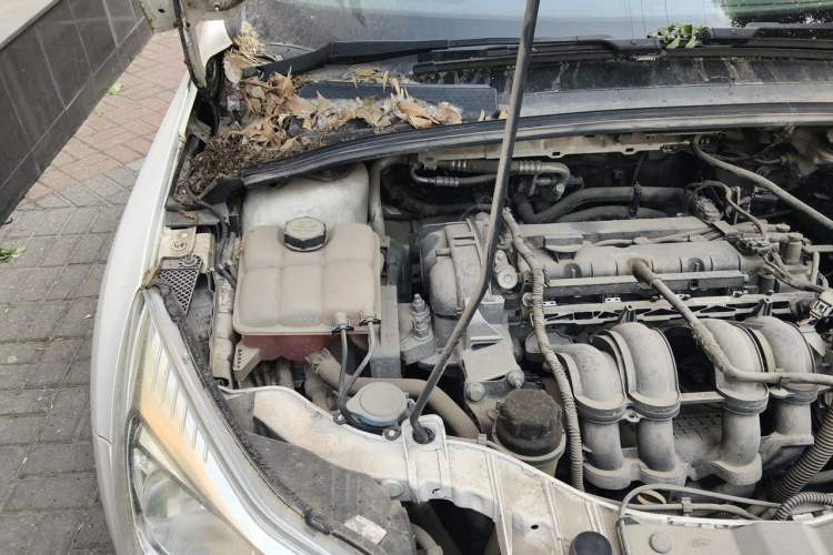 Used Ford Focus 2012 Hatchback 1.6L Automatic Comfort Model Engine Bay Right