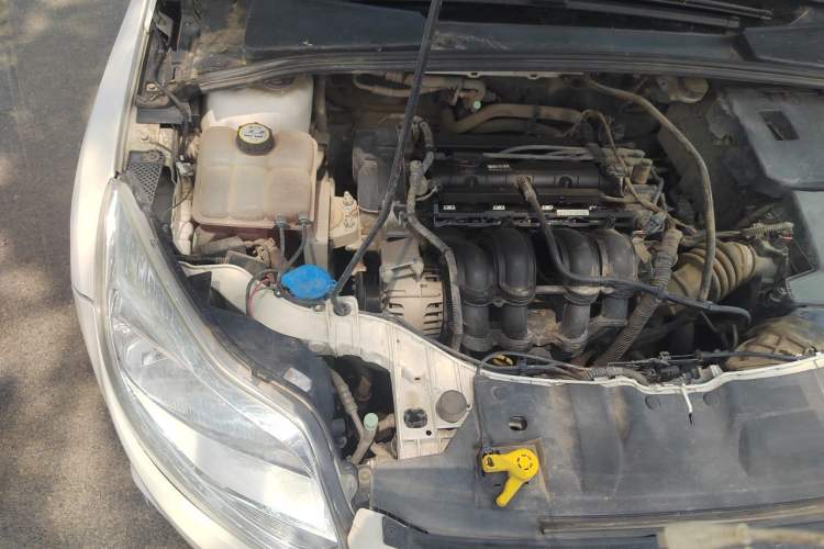 Used Ford Focus 2012 Sedan 1.6L Manual Fashion Edition Engine Bay Right