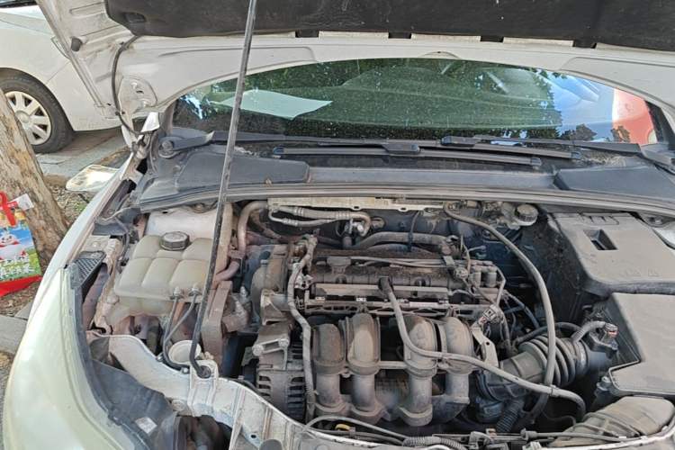 Used Ford Focus 2012 Sedan 1.6L Manual Fashion Edition Engine Bay Right