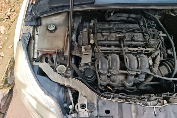 Used Ford Focus 2012 Sedan 1.6L Automatic Fashion Edition Engine Bay Right