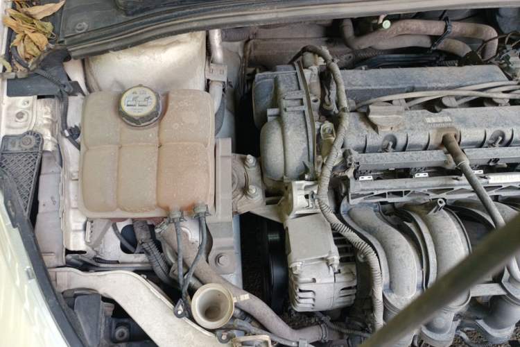 Used Ford Focus 2012 Sedan 1.6L Manual Comfort Model Engine Bay Right