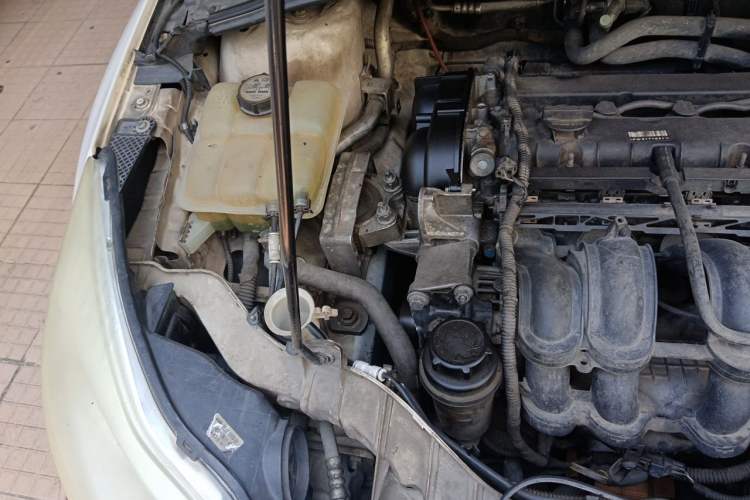 Used Ford Focus 2012 Sedan 1.6L Automatic Fashion Edition Engine Bay Right