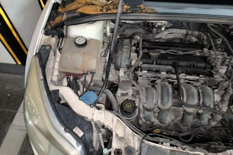 Used Ford Focus 2012 Hatchback 1.6L Automatic Comfort Model Engine Bay Right