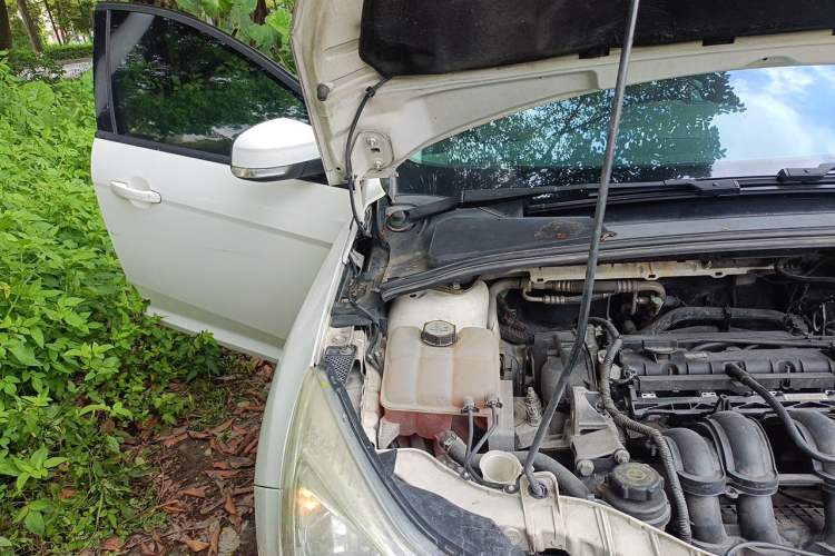 Used Ford Focus 2012 Hatchback 1.6L Automatic Fashion Edition Engine Bay Right